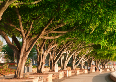 Brisbane Named in World’s Top 20 Sustainable Cities