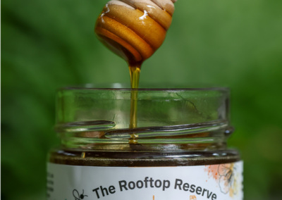 BCEC’s First Batch of Local Honey